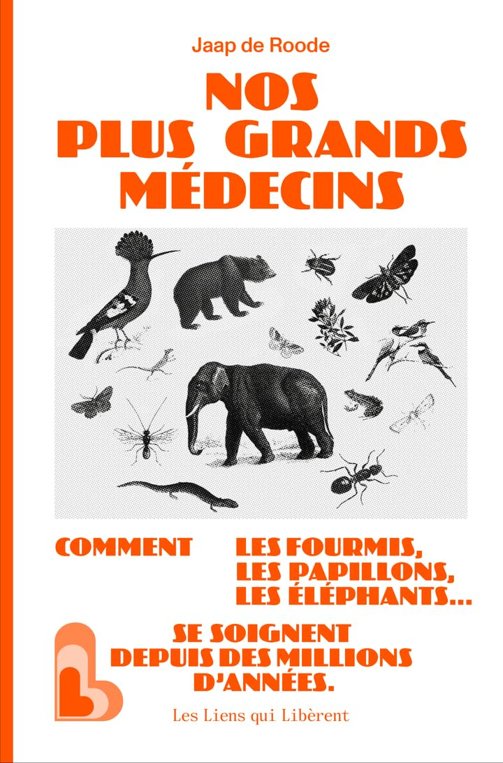 Nos plus grands médecins : comment les fourmis, les papillons, les éléphants... se soignent depuis d