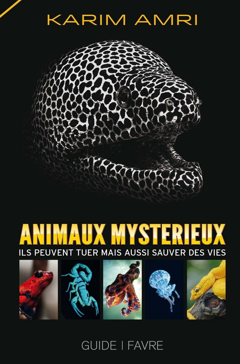 Animaux mystérieux : ils peuvent tuer mais aussi sauver des vies