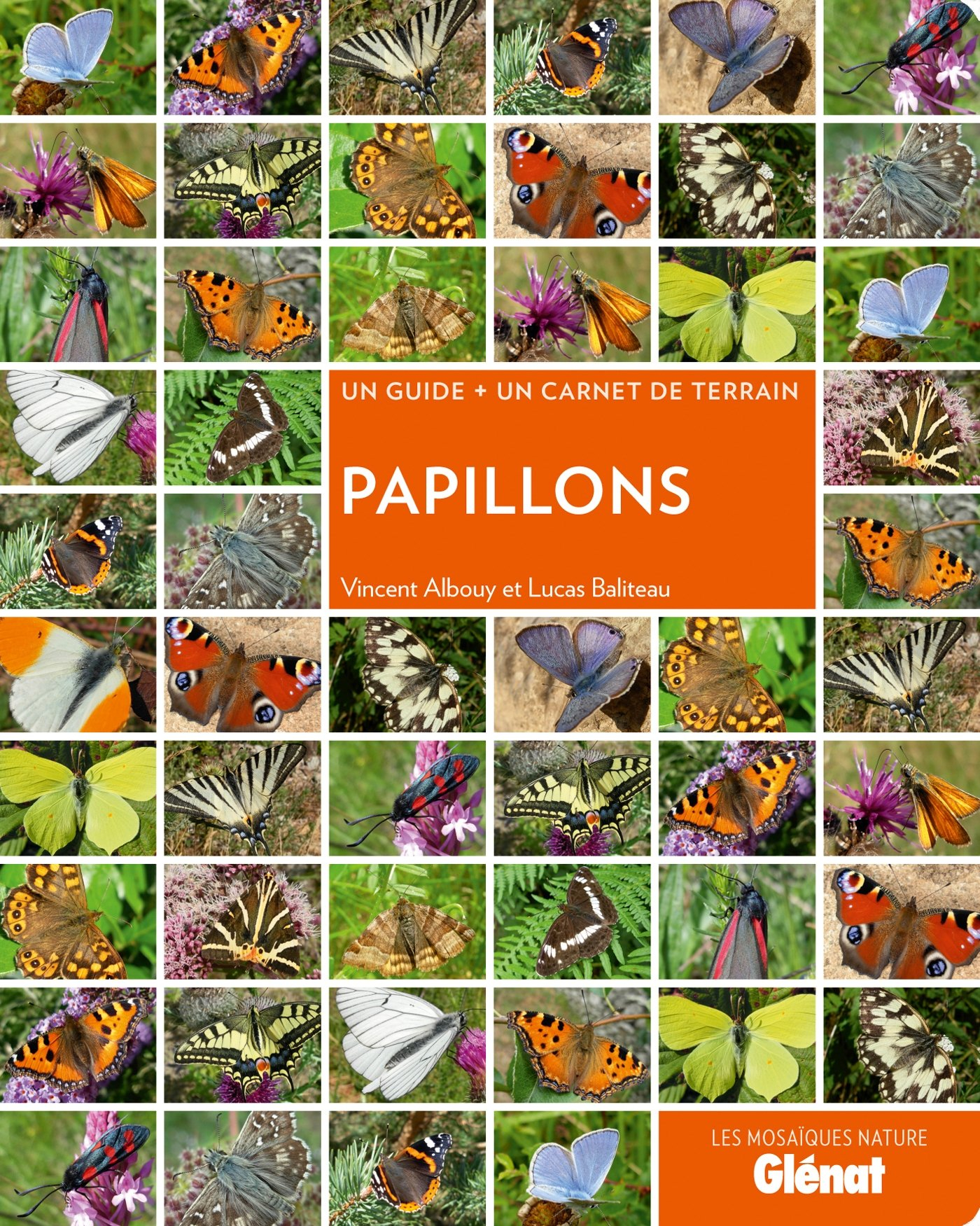 Papillons