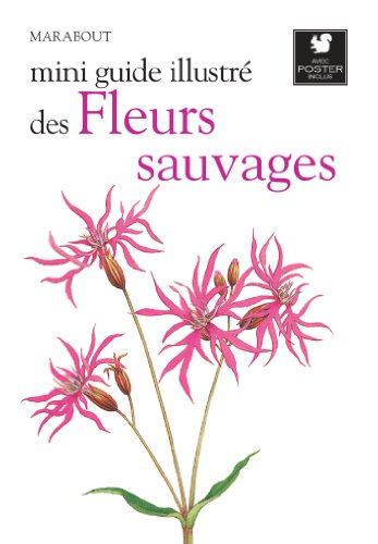 Le petit guide Marabout des fleurs sauvages