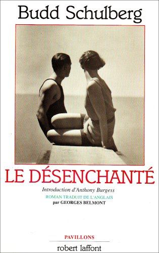 Le désenchanté