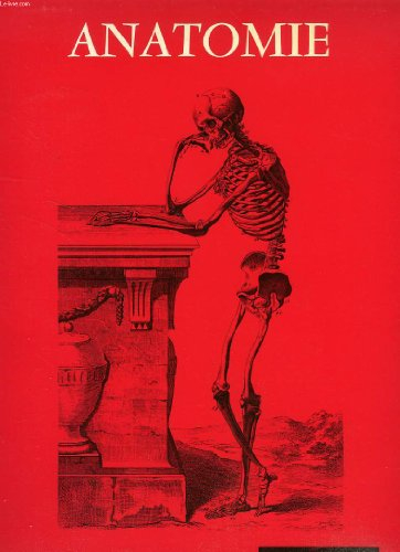 anatomie (planches d')