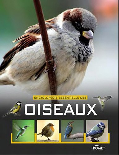 Encyclopédie essentielle des oiseaux