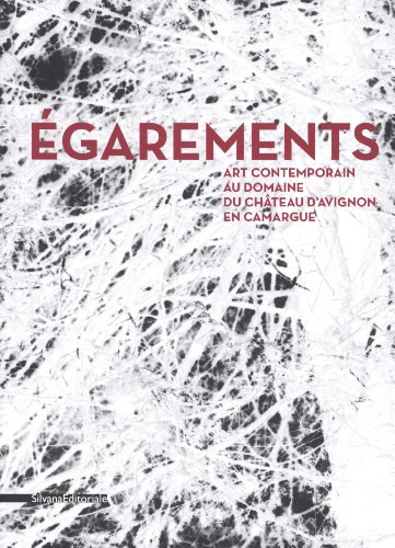 Egarements : art contemporain au Domaine du château d'Avignon en Camargue, du 15 juin au 20 octobre 