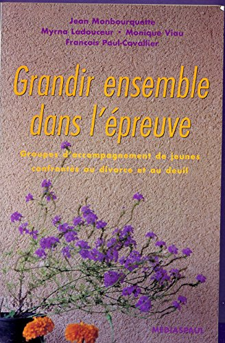 Grandir ensemble dans l'épreuve : groupes d'accompagnement de jeunes confrontés au divorce et au deu