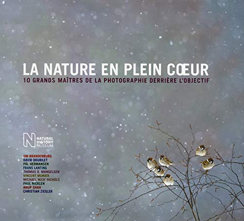 La nature en plein coeur : 10 grands maîtres de la photographie derrière l'objectif