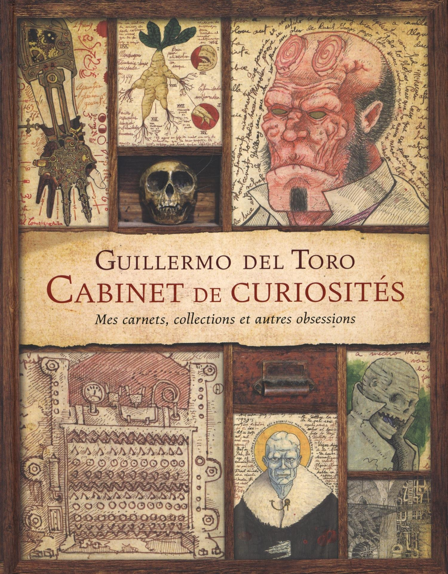 Cabinet de curiosités : mes carnets, collections et autres obsessions
