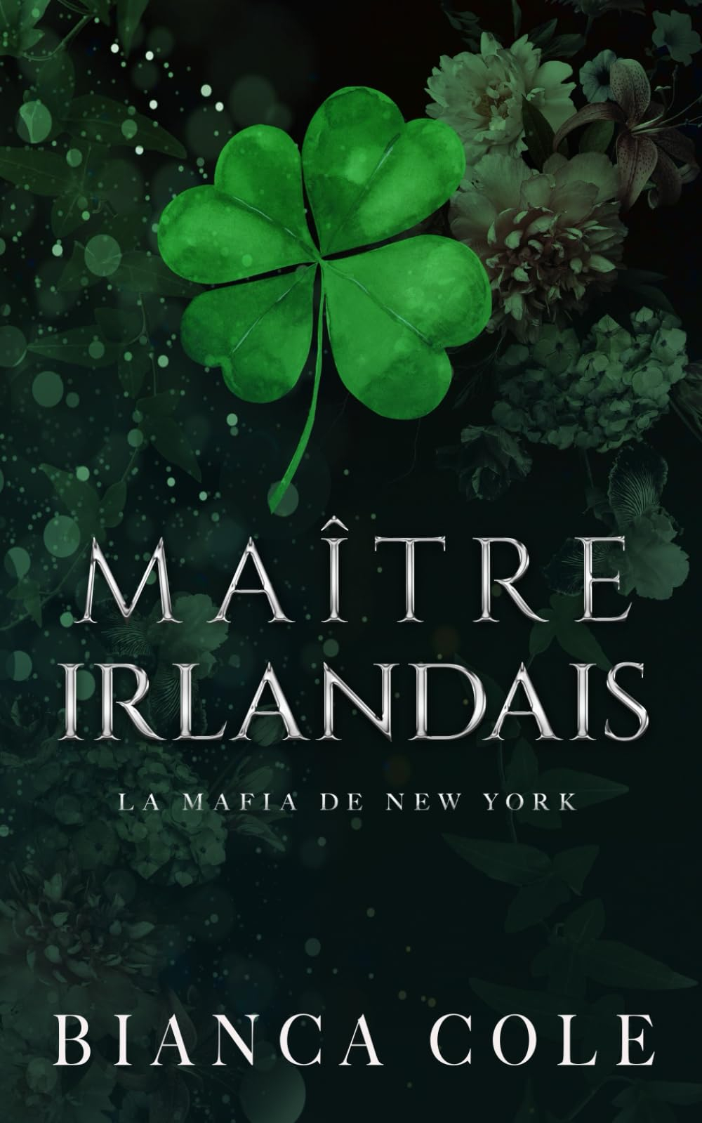 Maître Irlandais: Une Sombre Mafia Romance