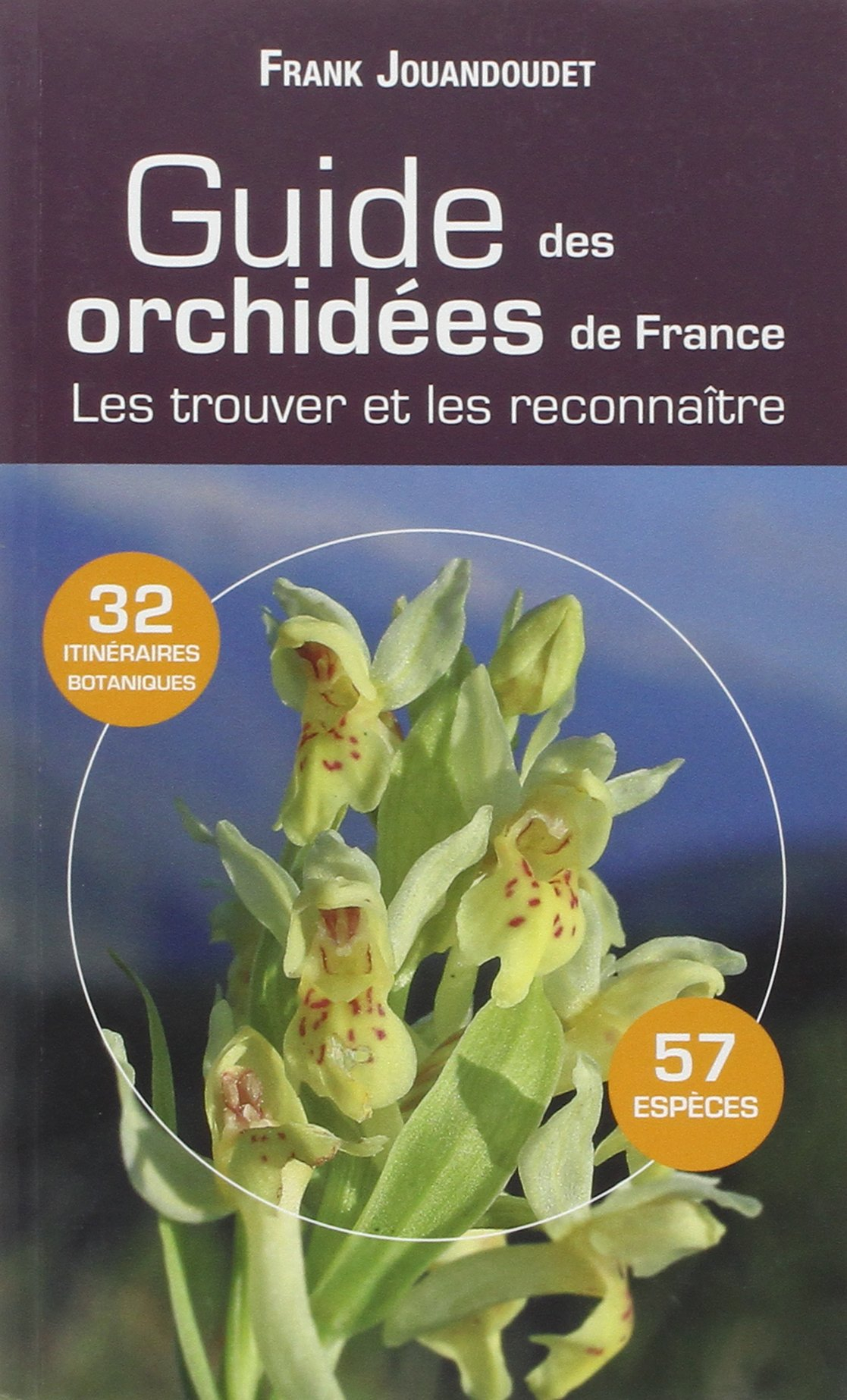 Guide des orchidées communes de France