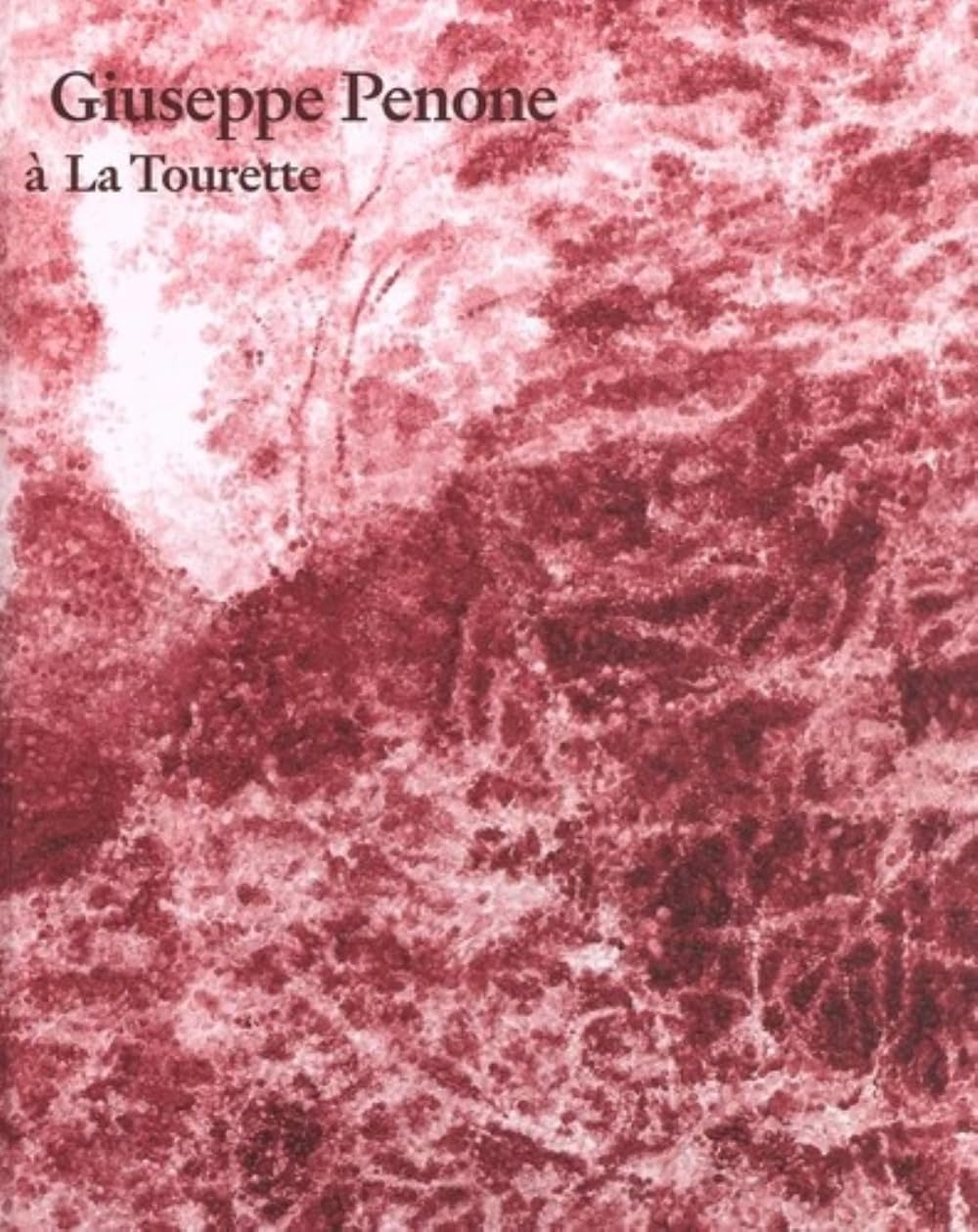 Giuseppe Penone à La Tourette