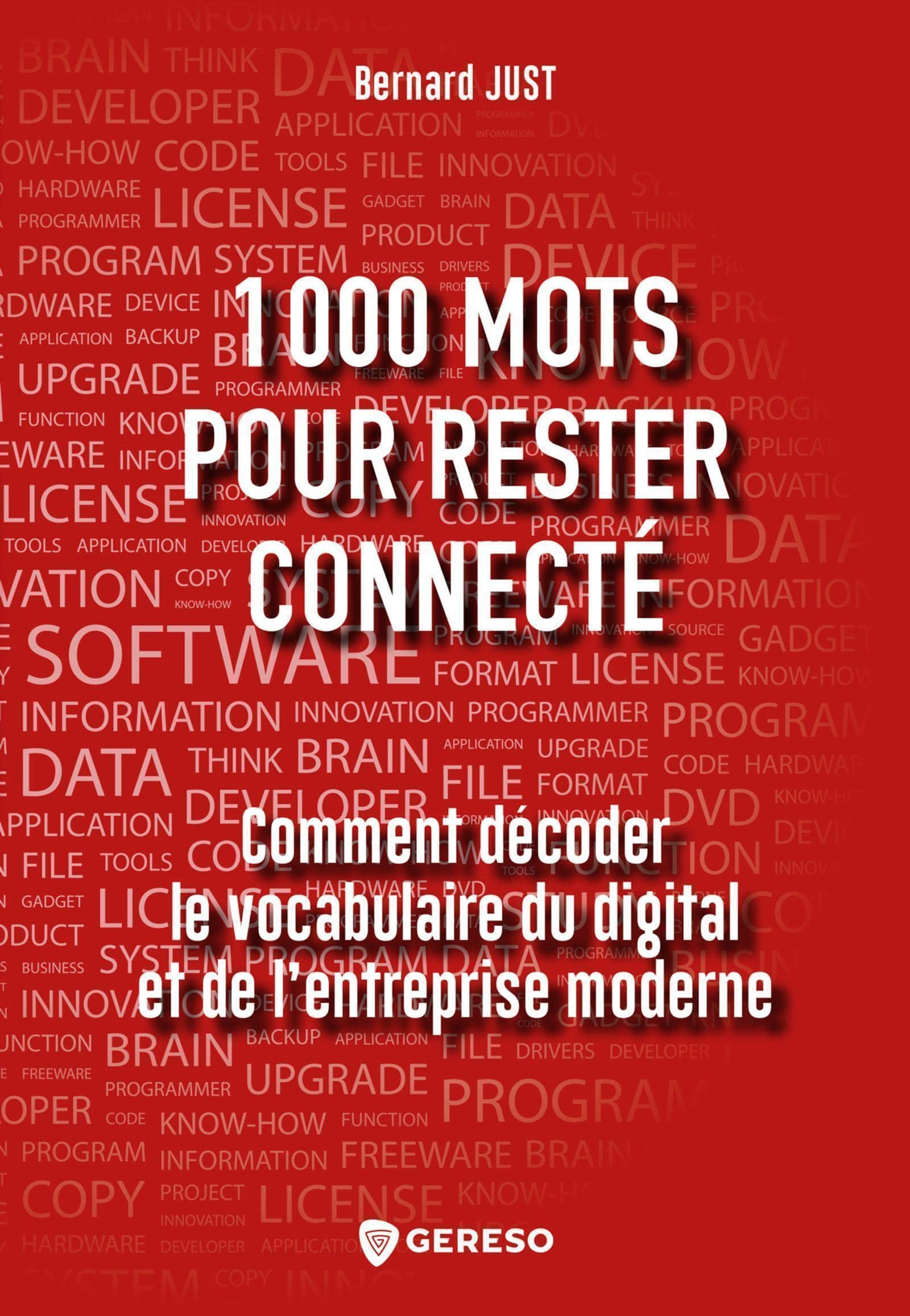 1.000 mots pour rester connecté : comment décoder le vocabulaire du digital et de l'entreprise moder