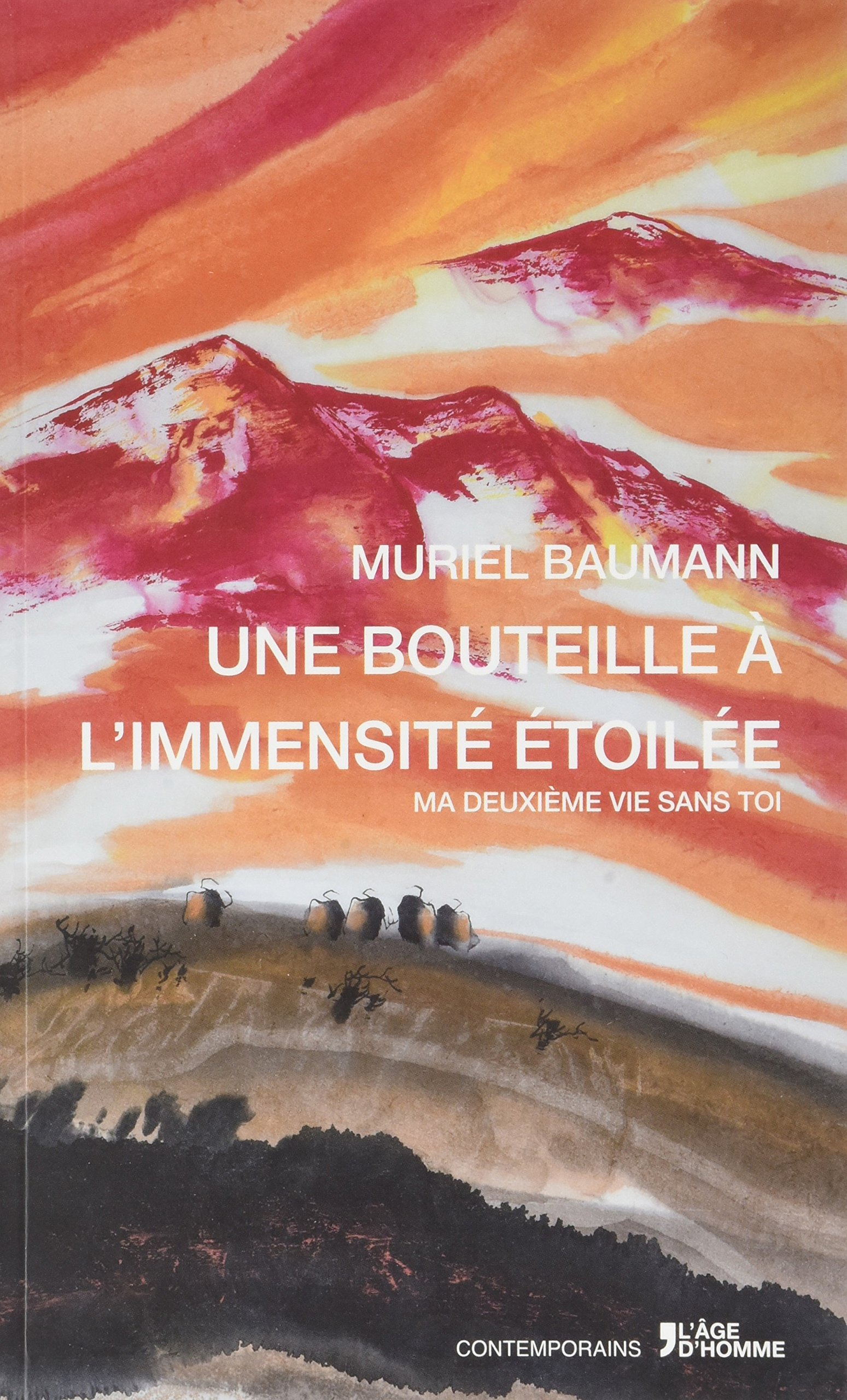Une bouteille à l'immensité étoilée
