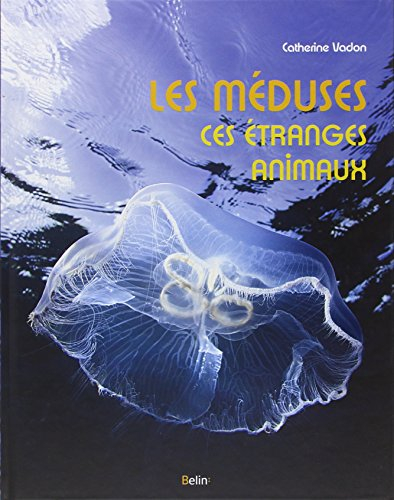 Les méduses, ces étranges animaux