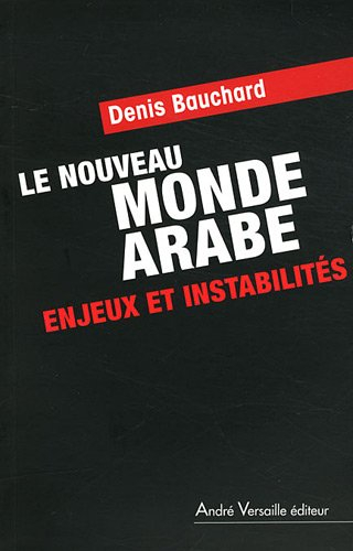 Le nouveau monde arabe : enjeux et instabilités