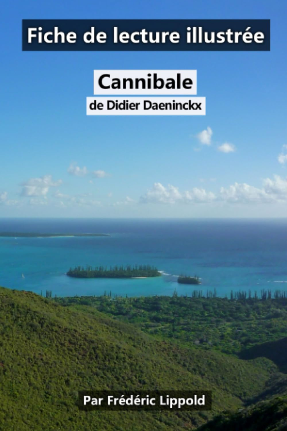 Fiche de lecture illustrée - Cannibale, de Didier Daeninckx: Résumé et analyse complète de l'œuvre