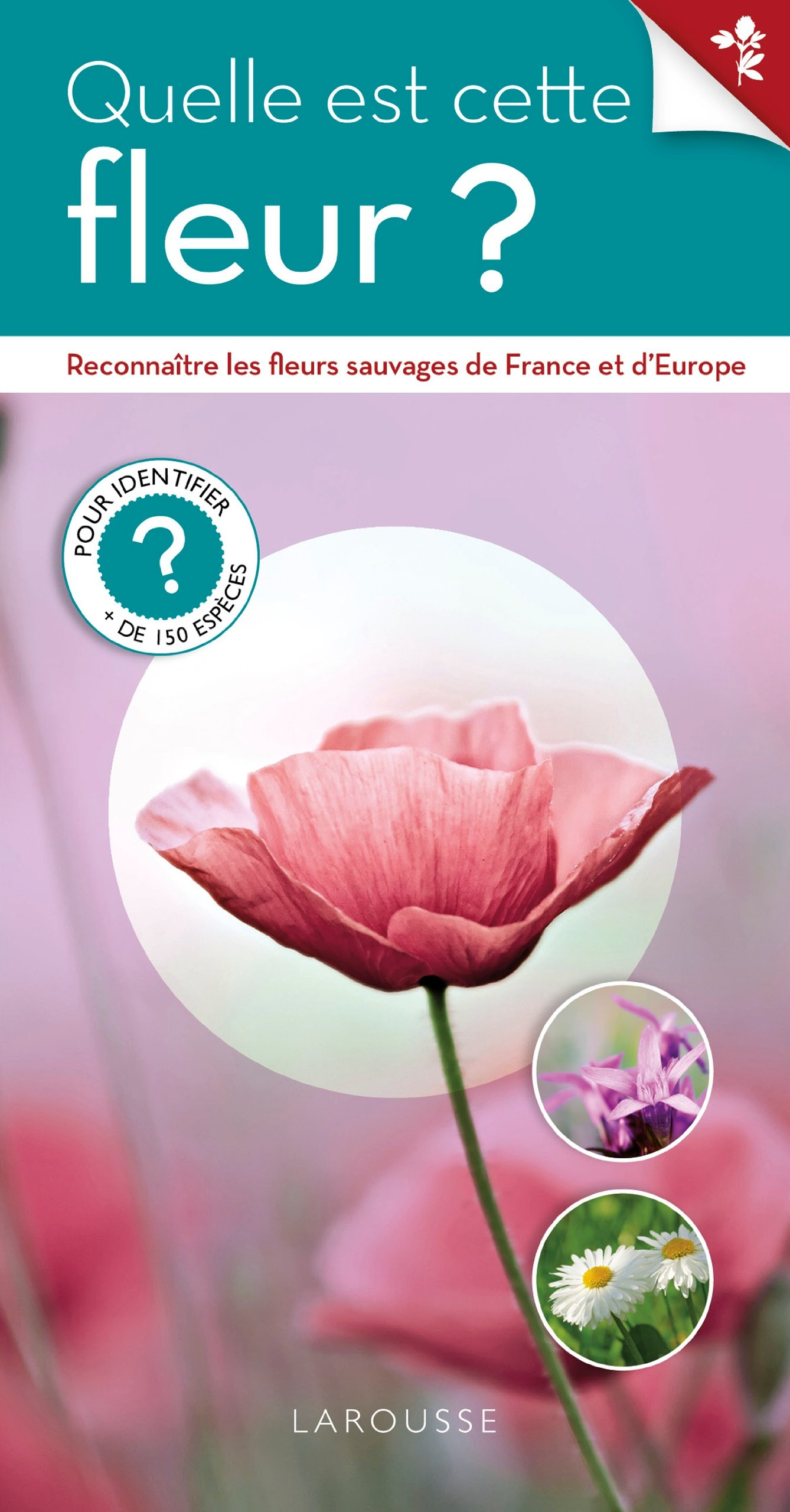 Quelle est cette fleur sauvage ?