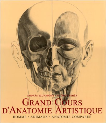 Cours d'anatomie artistique