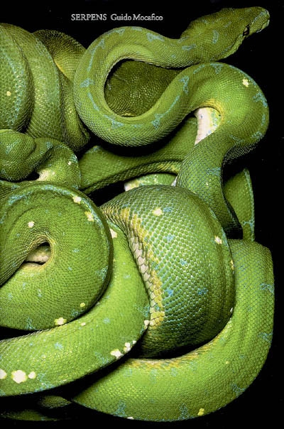 Serpens