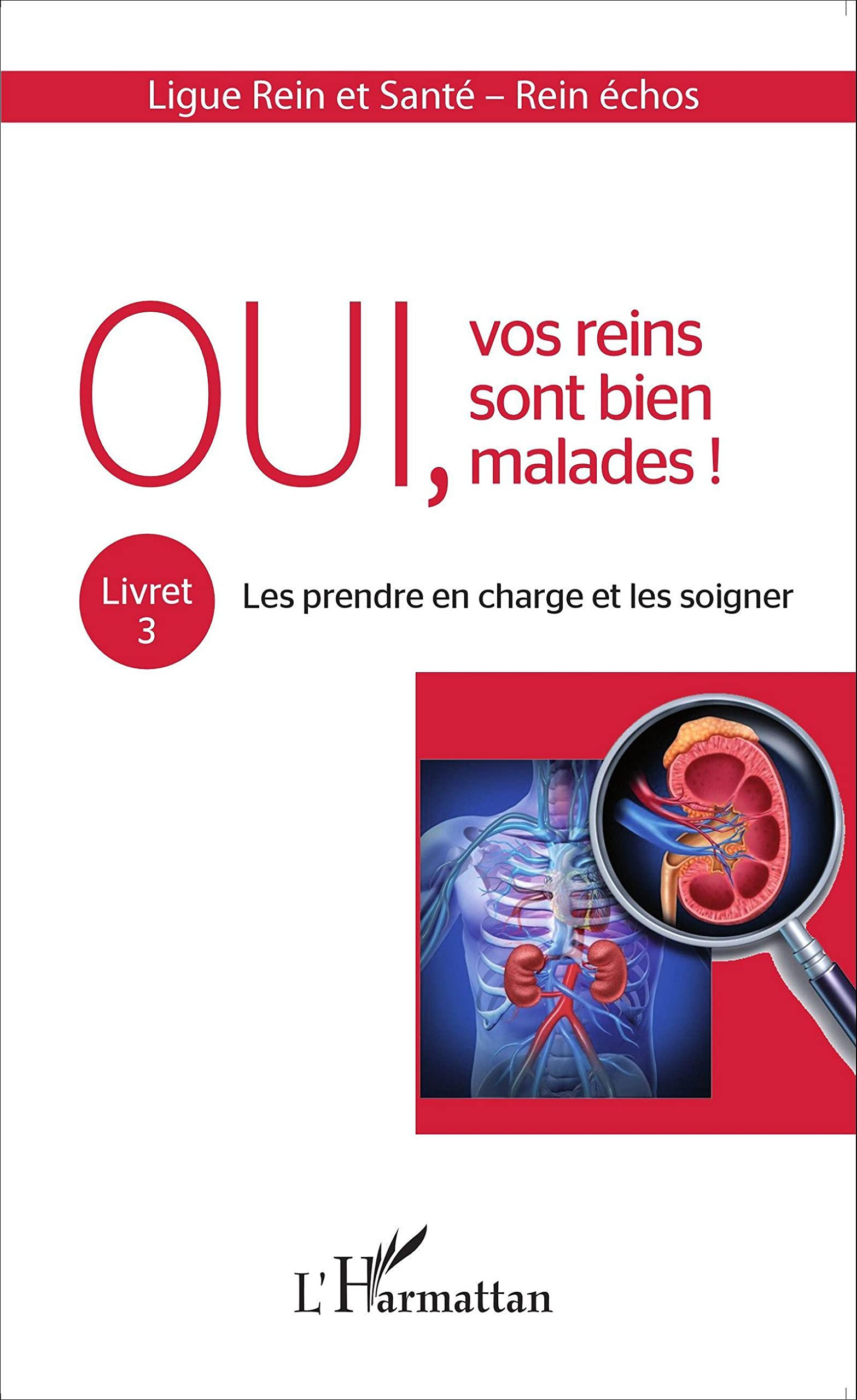Oui, vos reins sont bien malades !. Vol. 3. Les prendre en charge et les soigner