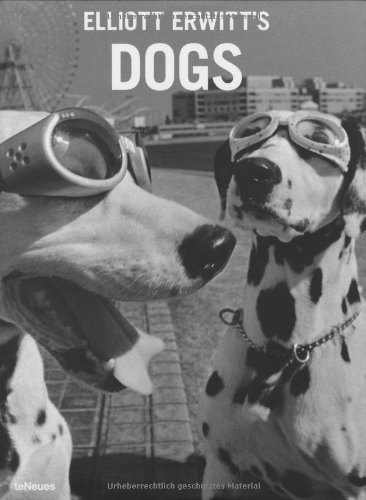 Elliott Erwitt's dogs