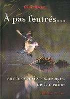 A pas feutrés, sur les sentiers sauvages de Lorraine