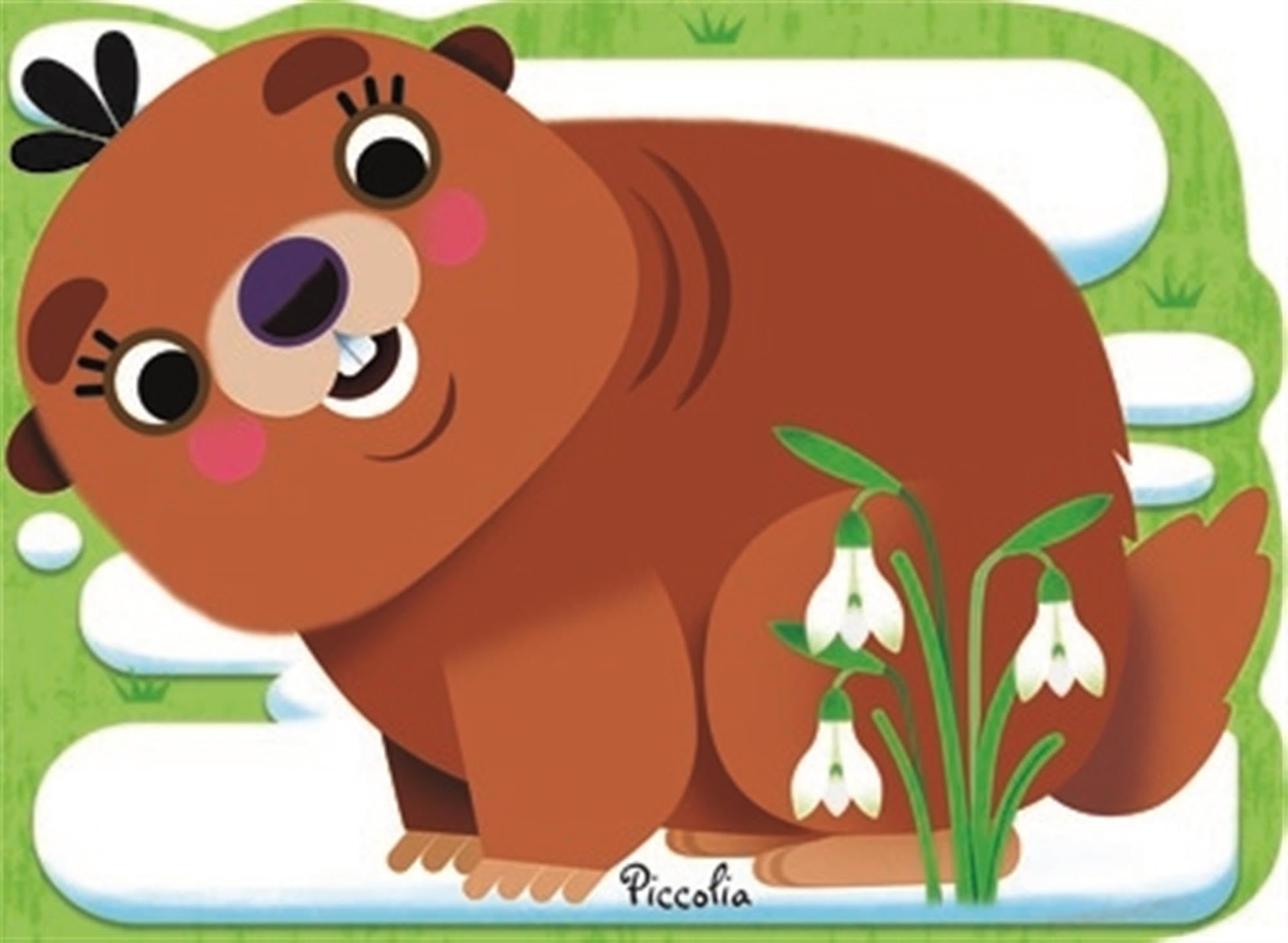 Marmotte