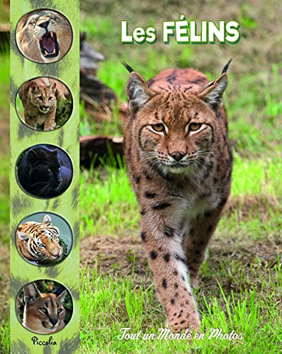 Les félins du monde