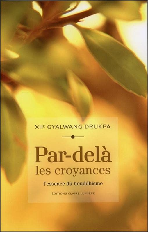 Par-delà les croyances : l'essence du bouddhisme