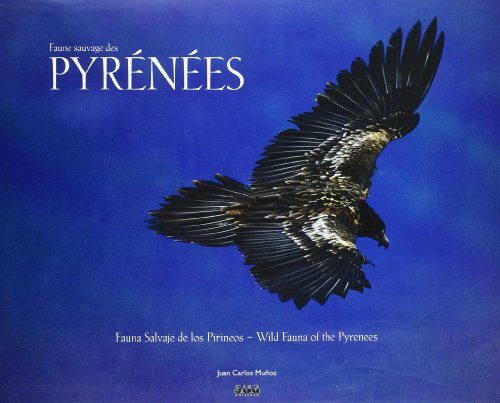 Faune sauvage des pyrenees