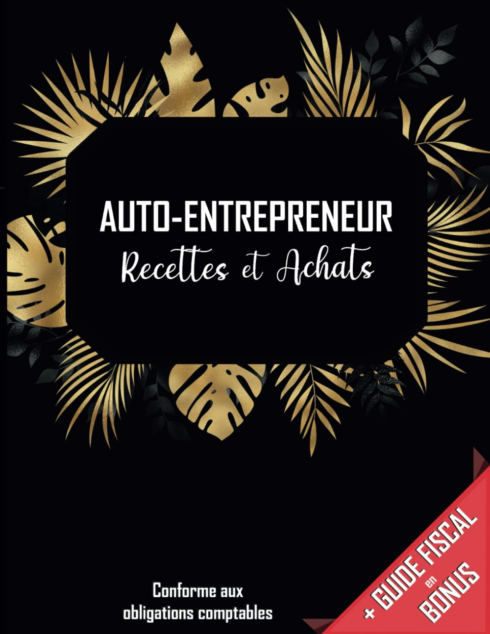 Livre De Compte Recette Dépense: Carnet De Tenue De Compte Conforme aux Obligations Comptables des M