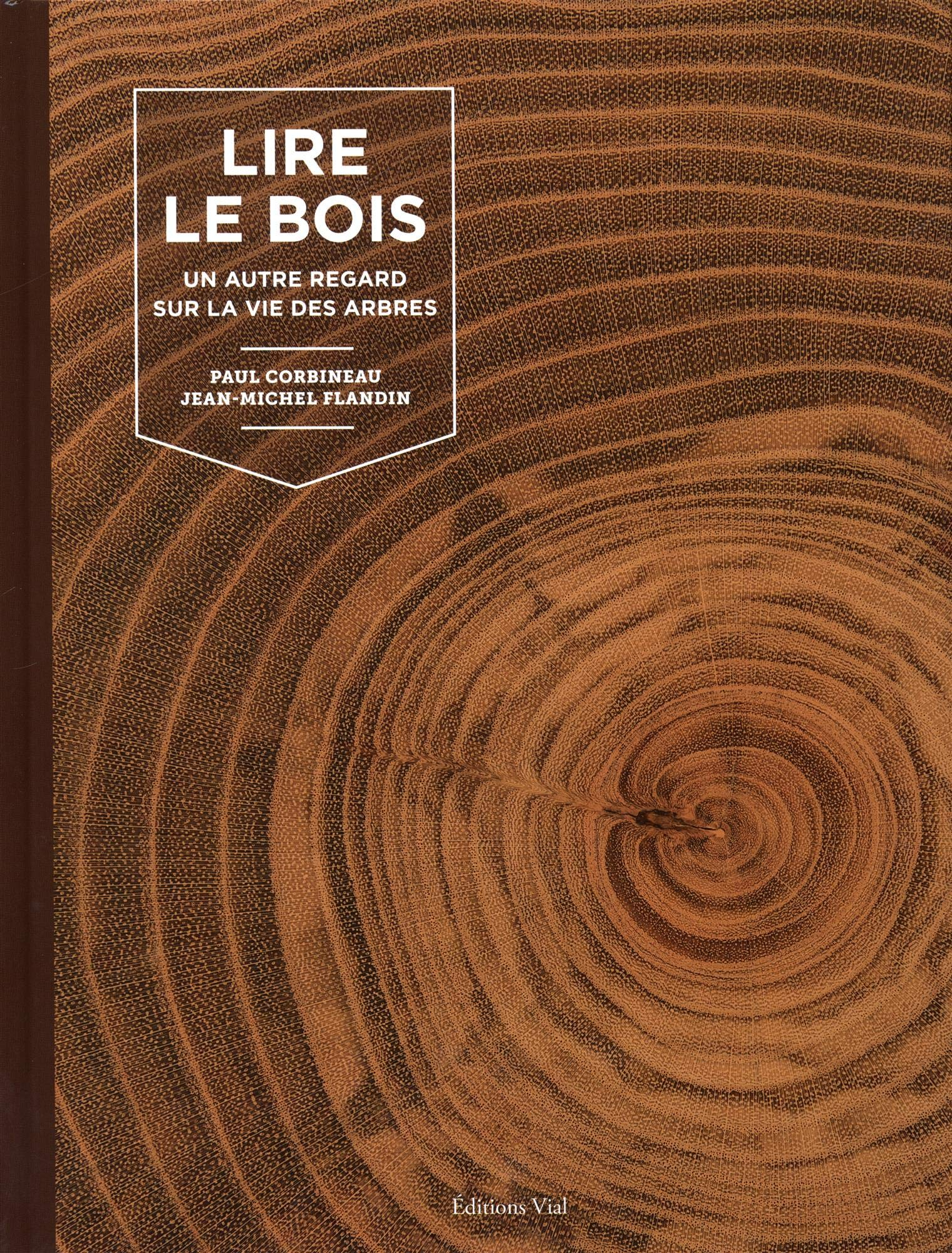 Lire le bois : un autre regard sur la vie des arbres