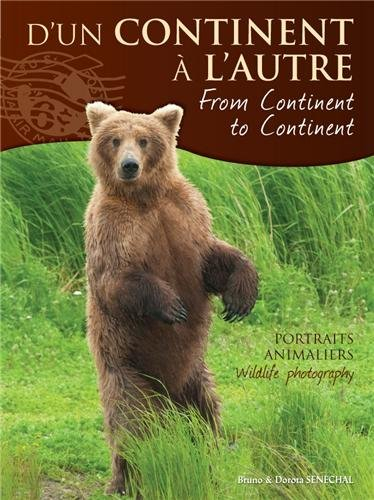 D'un continent à l'autre : Portraits animaliers