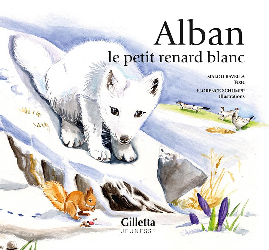 Alban : le petit renard blanc