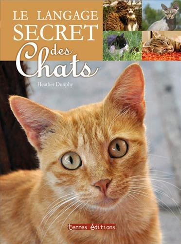 Le langage secret des chats