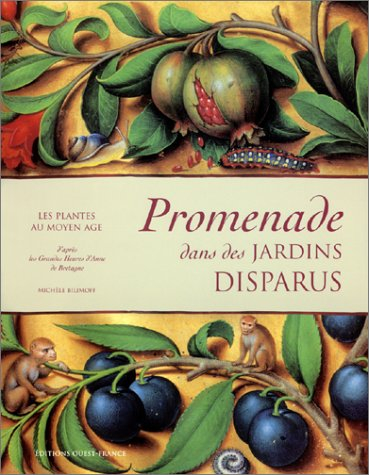 Promenade dans des jardins disparus : les plantes au Moyen Age : d'après les Grandes Heures d'Anne d
