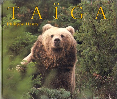 Taïga