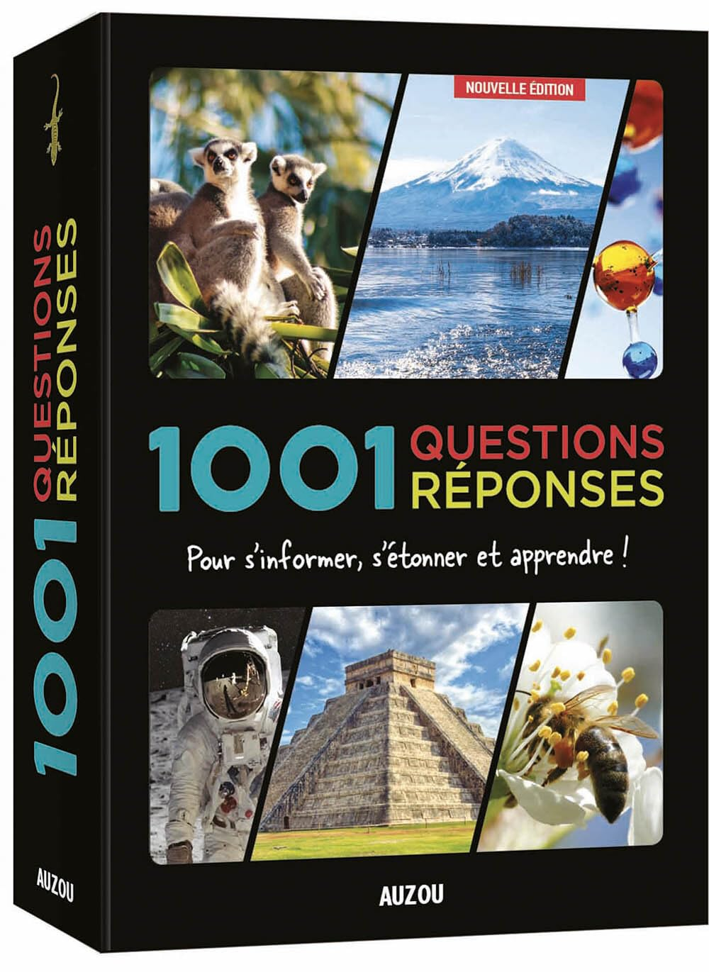 1.001 questions réponses : pour s'informer, s'étonner et apprendre !