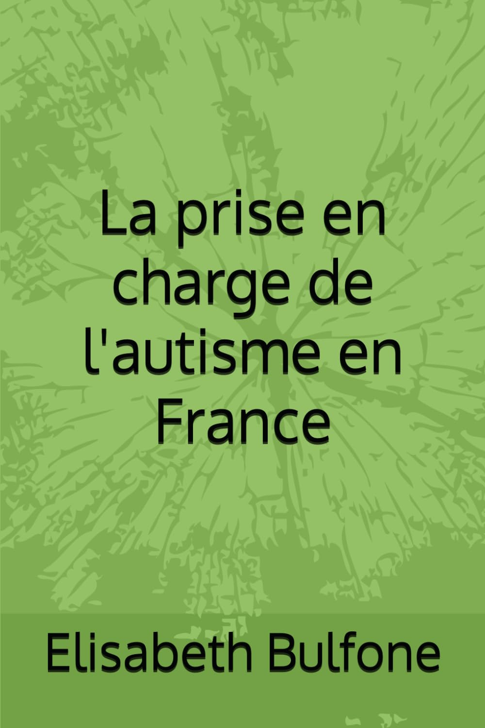 La prise en charge de l'autisme en France