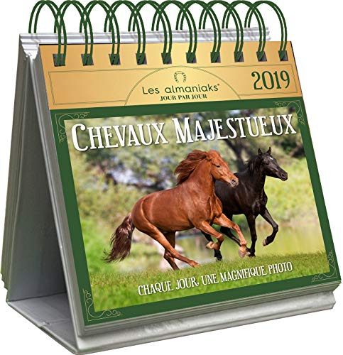 Chevaux majestueux 2019