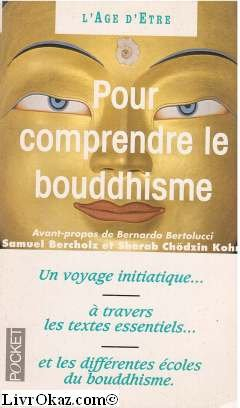 pour comprendre le bouddhisme : une initiation à travers les textes essentiels