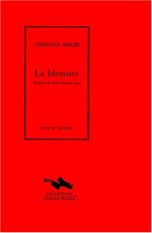 La blessure : histoire du jeune homme Lenz