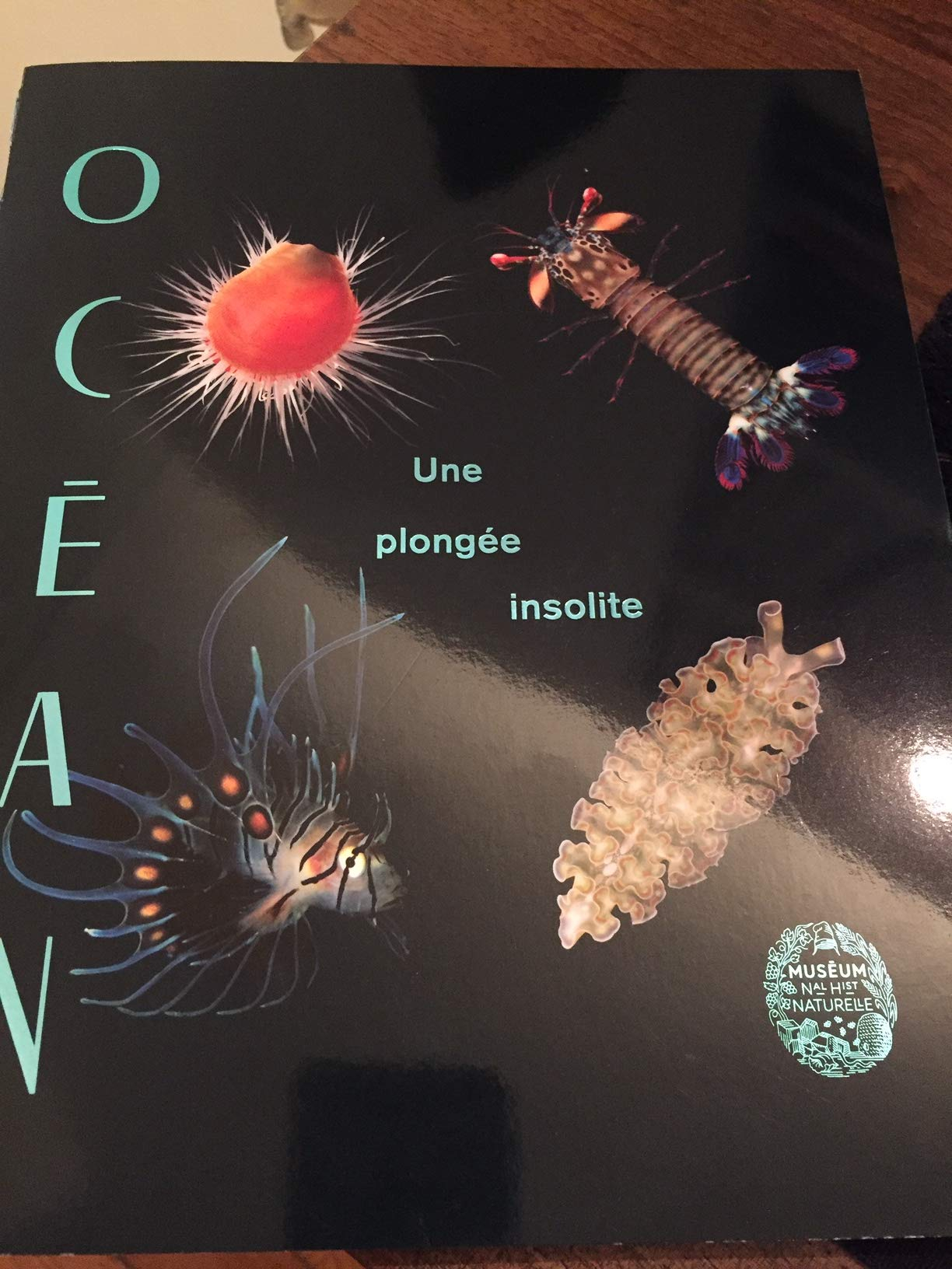 Océan, Une plongée insolite