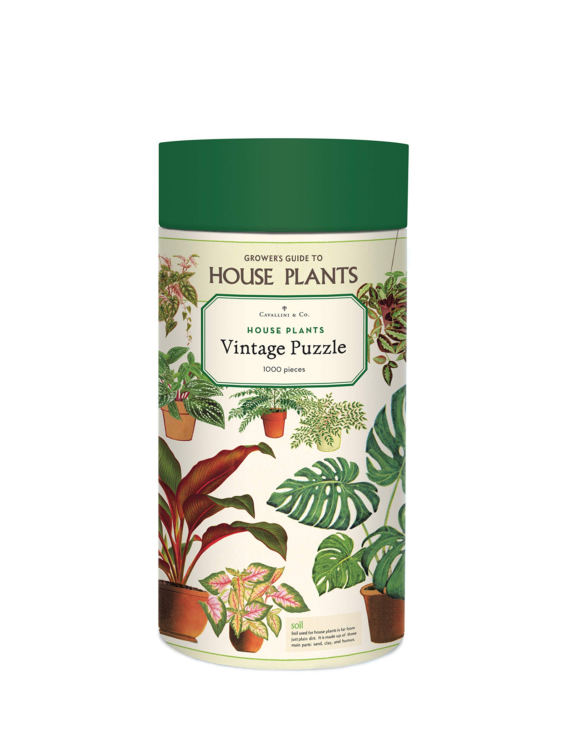 Cavallini 1000 Piece Puzzle, House Plants (Plz/HP)