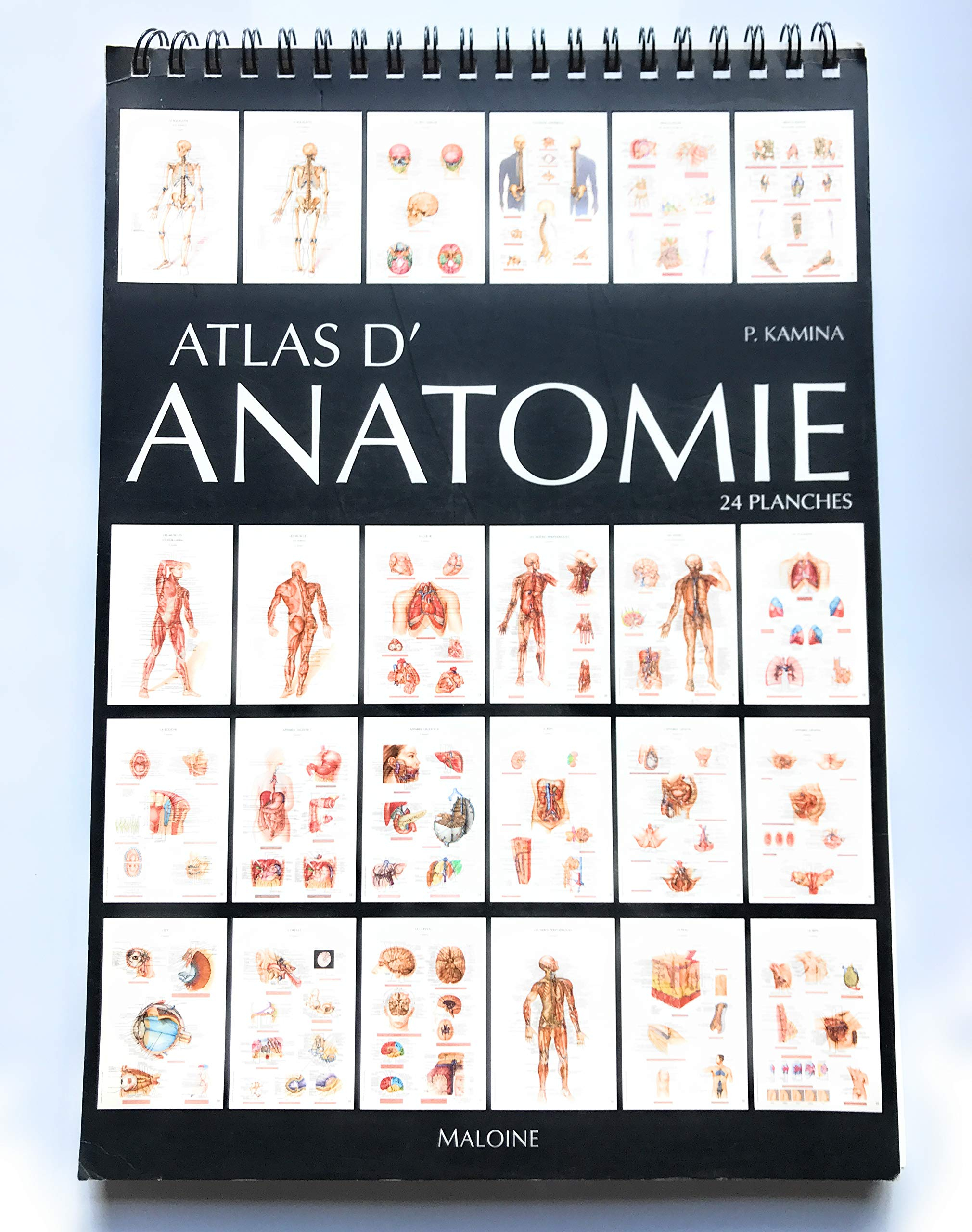 Atlas d'anatomie : 24 planches