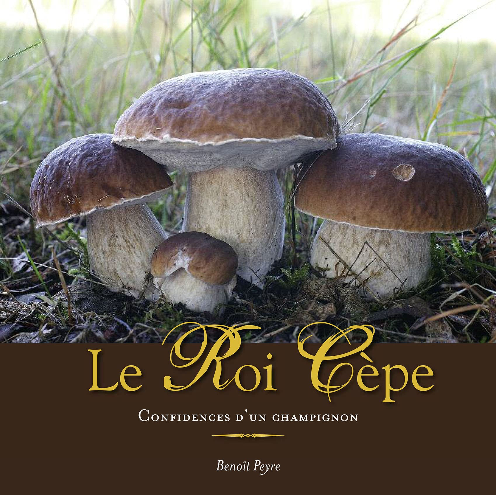 Le Roi Cèpe: Confidences d'un champignon