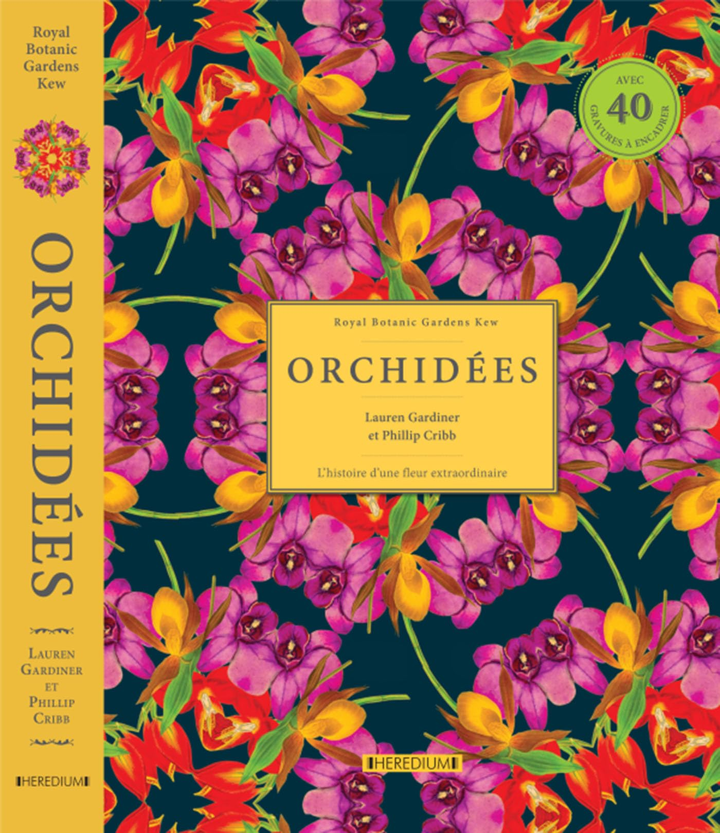Orchidées : l'histoire d'une fleur extraordinaire : la fascinante histoire de plus de 40 orchidées à