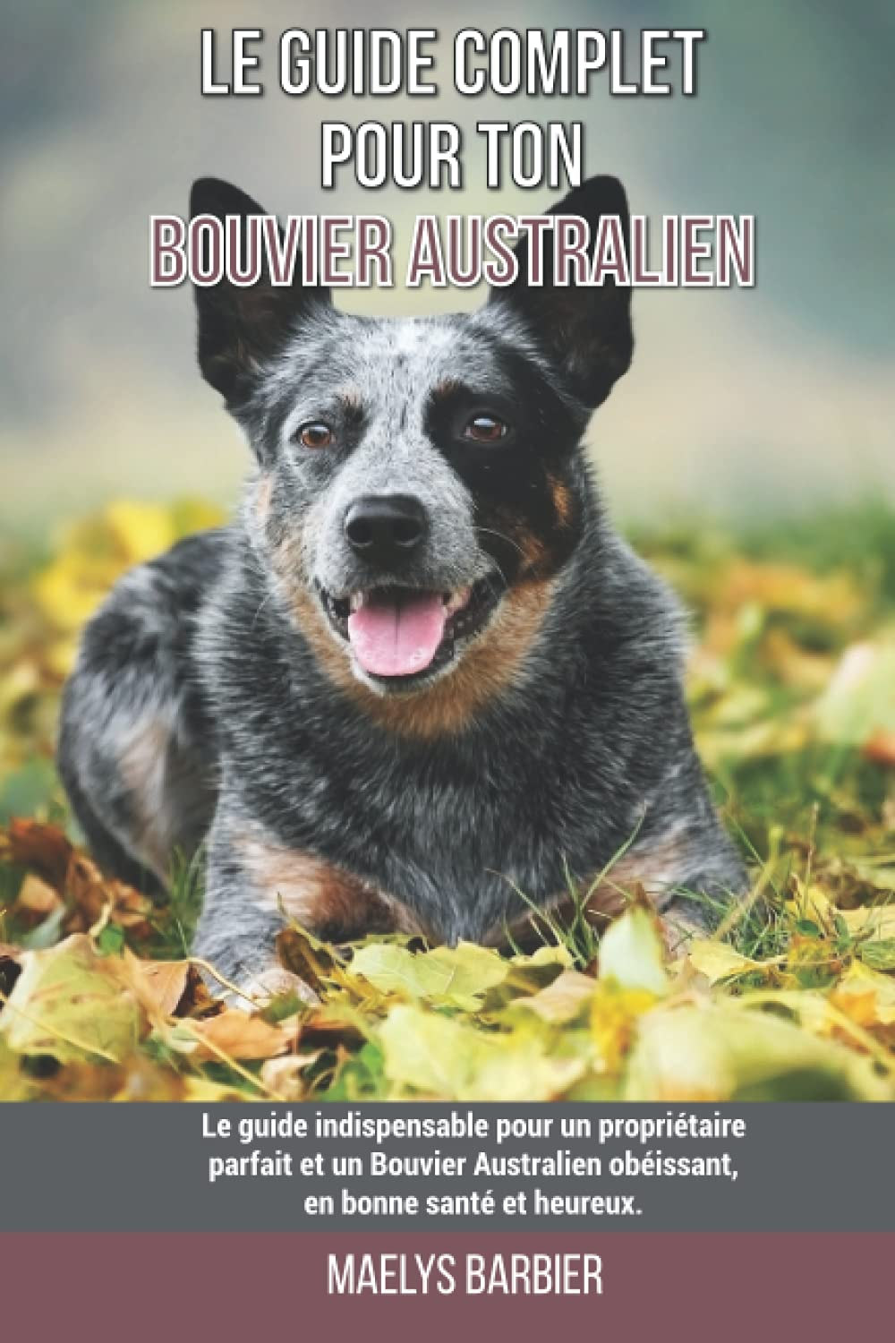 Le guide complet pour ton Bouvier Australien: Le guide indispensable pour un propriétaire parfait et