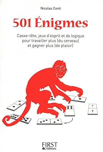 501 énigmes : casse-tête, jeux d'esprit et de logique pour travailler plus (du cerveau) et gagner pl