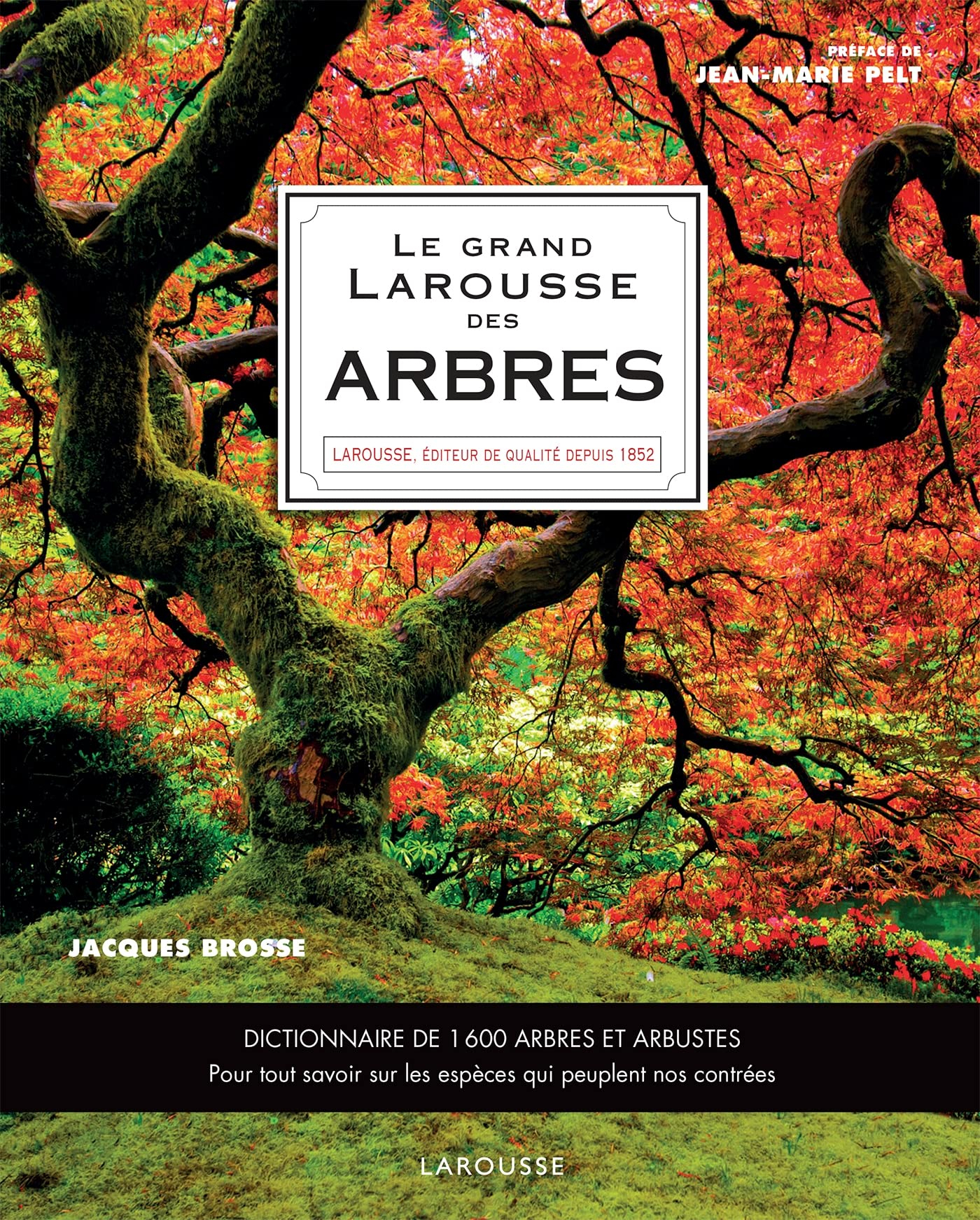 Le grand Larousse des arbres : dictionnaire de 1.600 arbres et arbustes : botanique, mythologies, hi