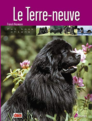 Le terre-neuve
